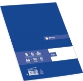 Recambio A4 Enri 100 hojas sueltas liso