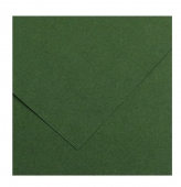 Canson Iris - Cartulina SELVA  A4