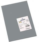 Canson Iris - Cartulina GRIS PLOMO A4
